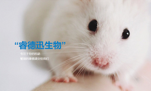 高端策劃型網(wǎng)站案例-蘇州睿德迅生物